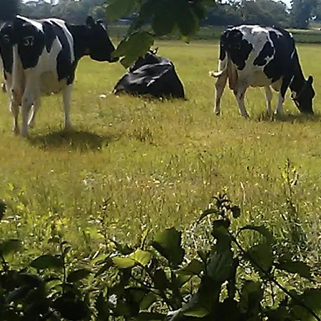 Vakantiehuis In Boerderij Met Omheinde Tuin *
